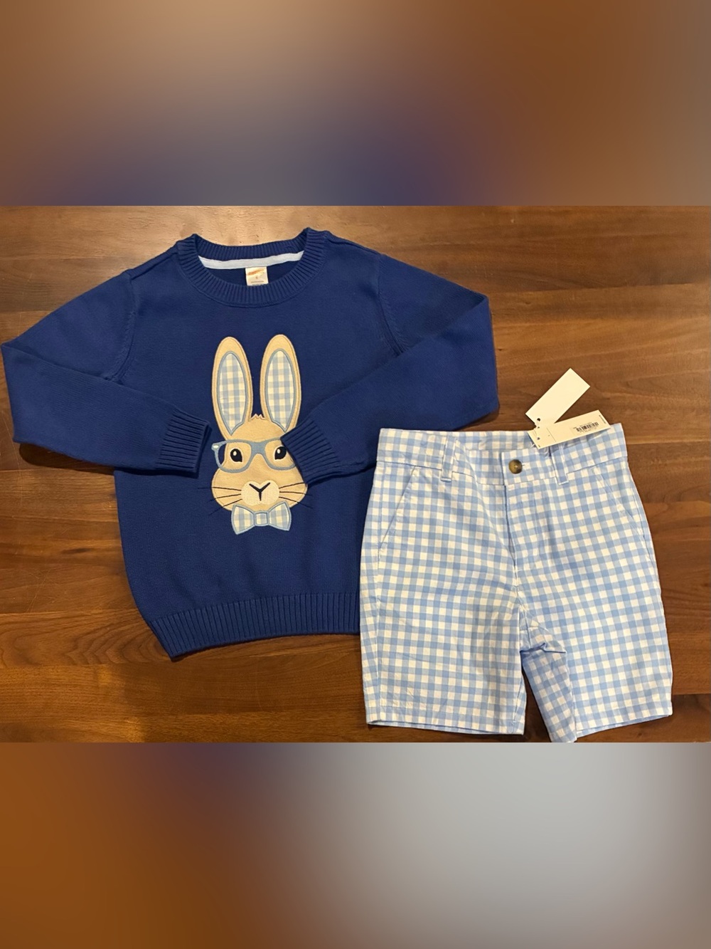 Navy Easter Bunny Gymboree Sweater & Blue Gingham Janie and Jack Shorts Set